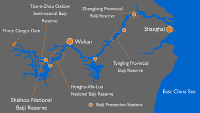 Baiji_conservation_efforts_map